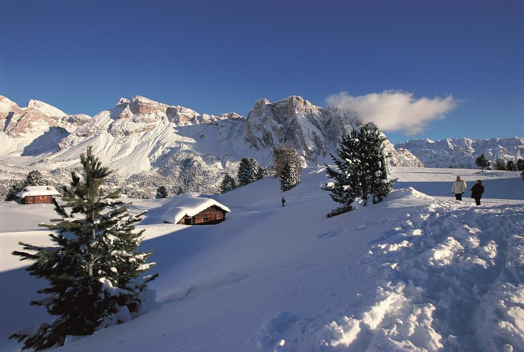 Apartments La Baita Santa Cristina Val Gardena Bagian luar foto